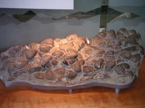 Natural History Museum