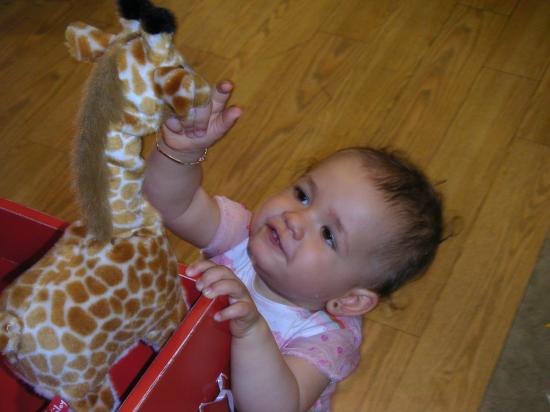 Hamleys