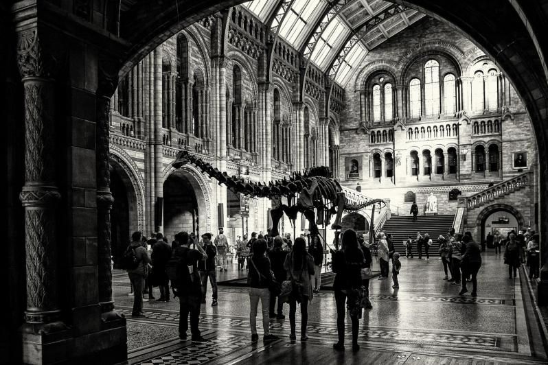 8 choses à voir et à faire au Natural History Museum de Londres !