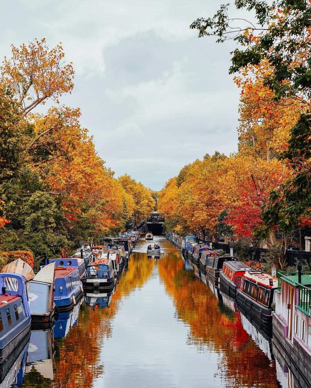 L'automne à Londres : les meilleures choses à faire