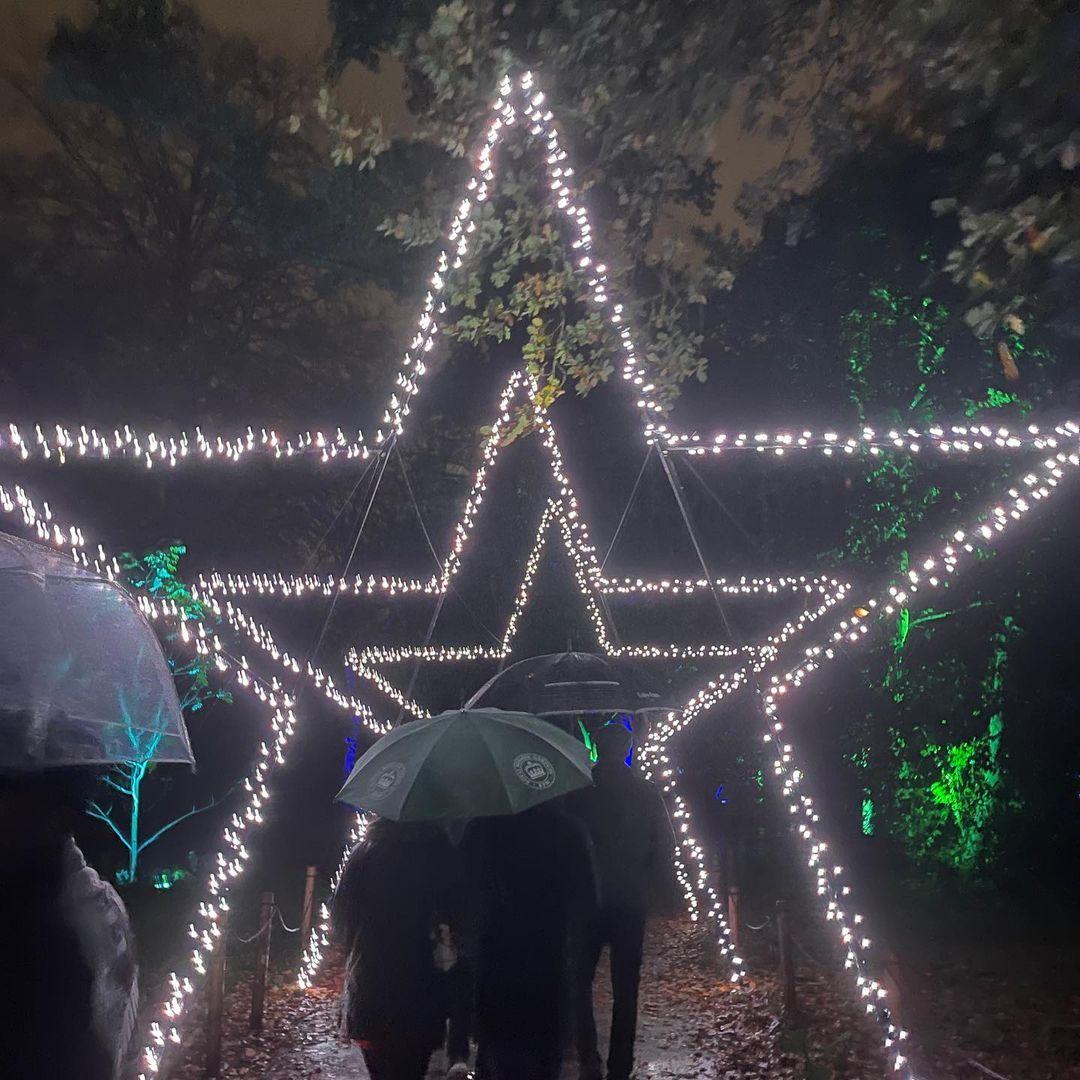 La magie de Noël à Londres