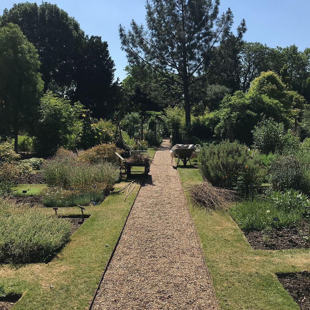 Chelsea Physic Garden : une oasis secrète à Londres !