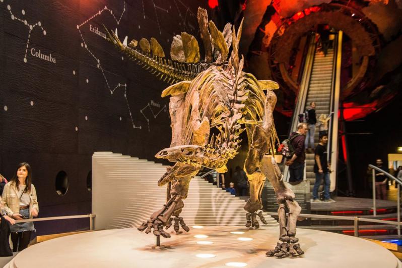 Le natural History Museum de Londres : une visite incontournable