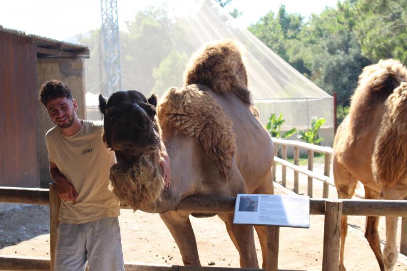 Farma of Rhodes avec les enfants