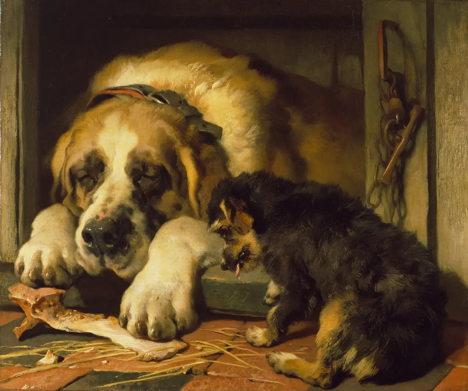 Portraits of Dogs: From Gainsborough to Hockney