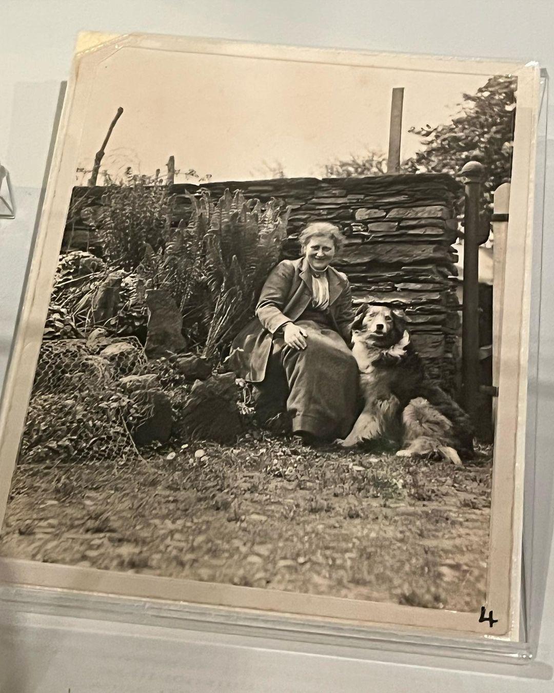 Beatrix Potter, Drawn to Nature, l'exposition au V&A