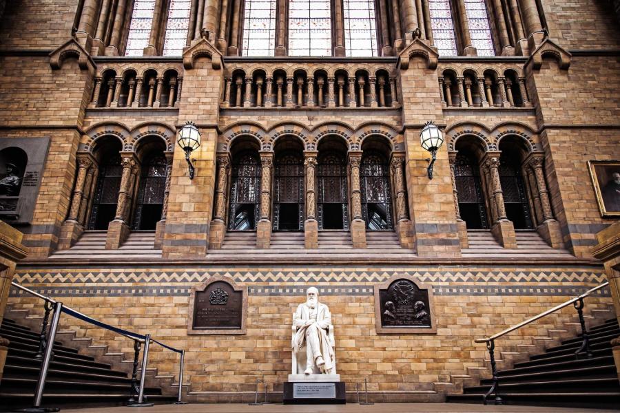 8 choses à voir et à faire au Natural History Museum de Londres !