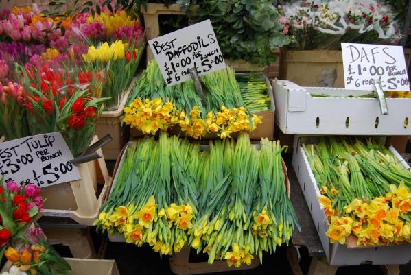 Nos 10 spots Kids Friendly de l'East London : Columbia Flower Market