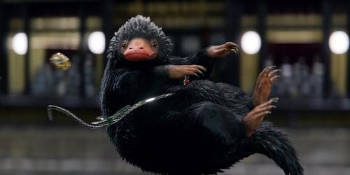 Fantastic beasts niffler zpsckylczpr