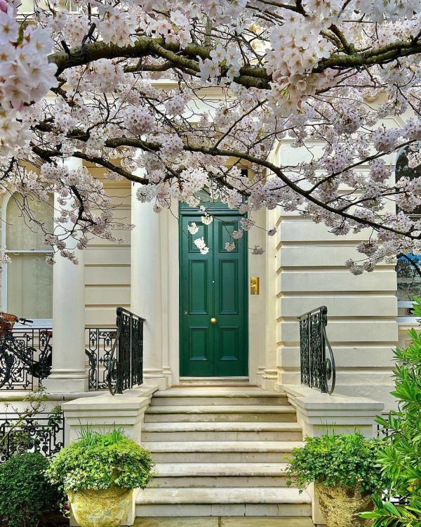 Où admirer les cerisiers en fleurs à Londres