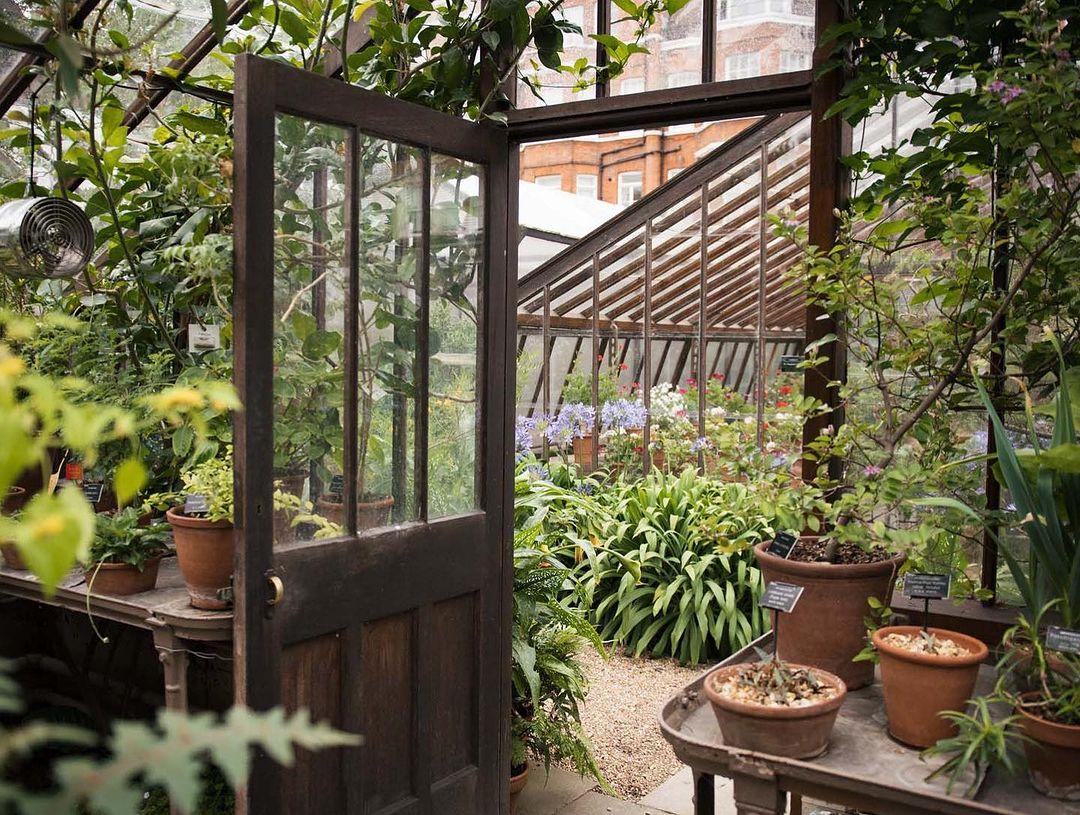 chelsea Physic Garden : une oasis secrète à Londres !