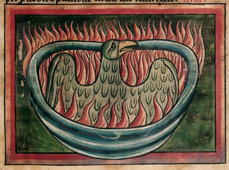 A phoenix rising from the ashes in a 13th-century bestiary ©British Library