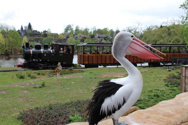 Escapade à Pairi Daiza