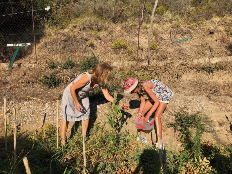 Une visite surprenante à Farma of Rhodes