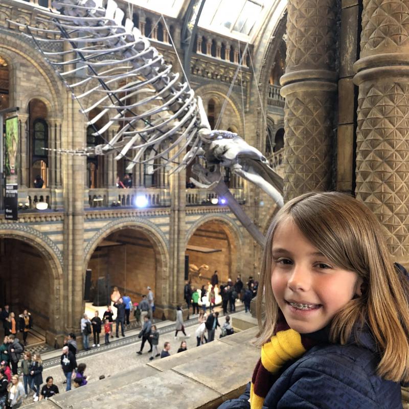 Le Musée d'histoire Naturelle de Londres, une visite incontournable