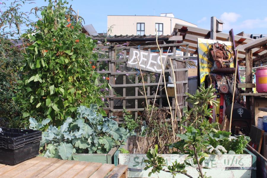 The Nomadic Community Gardens of Brick Lane