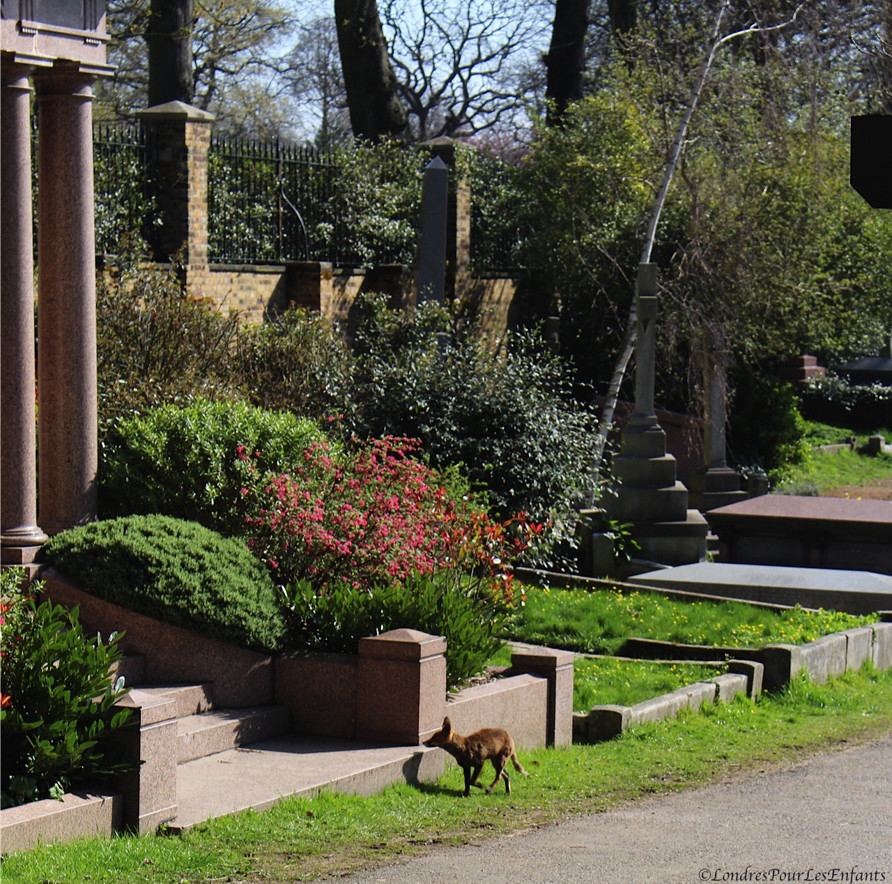 Cimetière d'Highgate