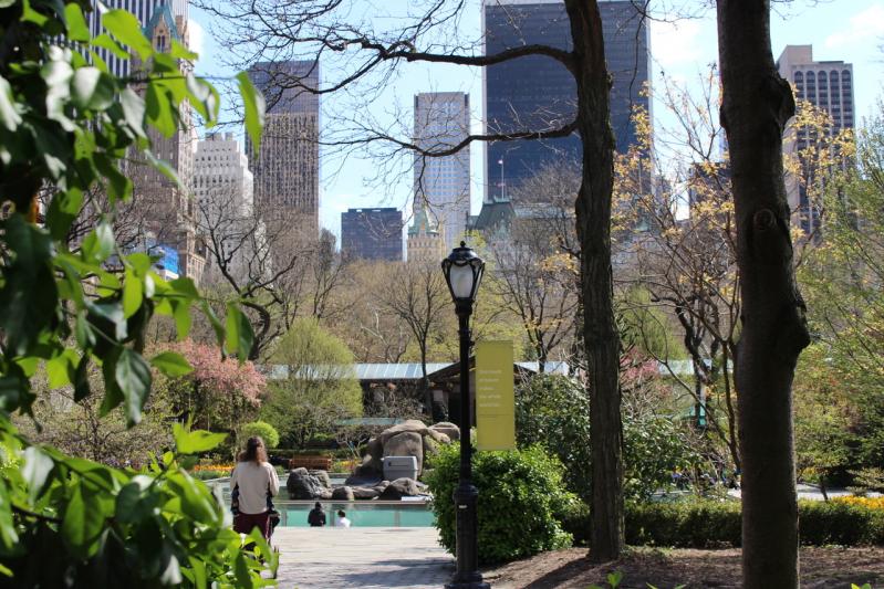 Le Zoo de Central Park avec les kids