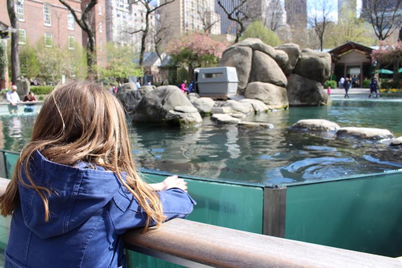 Le Zoo de Central Park avec les kids