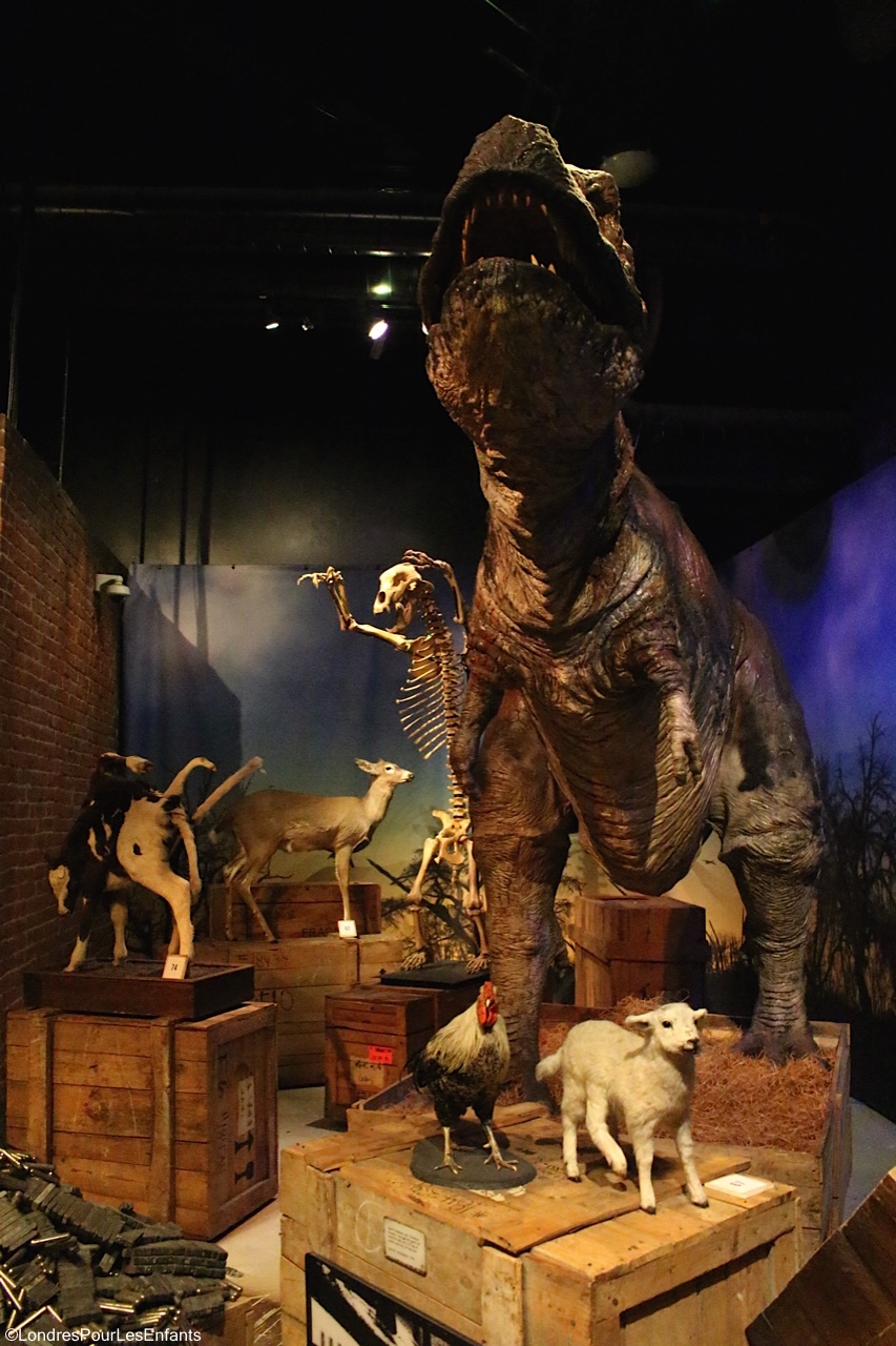 RIpley's believe it or not: Incroyable mais vrai!