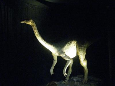 the Dinosaurs Gallery