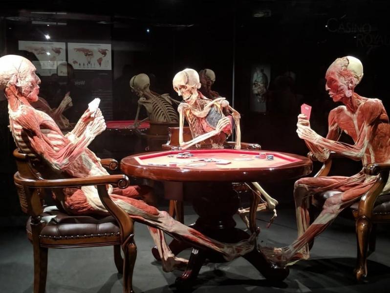 Notre visite au Body Worlds London