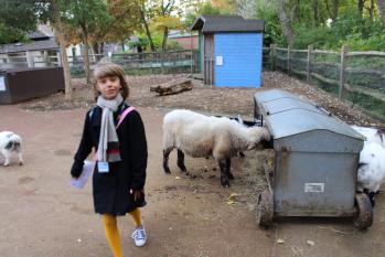 Balade au zoo de Londres