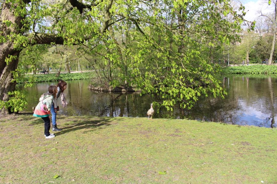 5 bonnes raisons de visiter Amsterdam avec les enfants