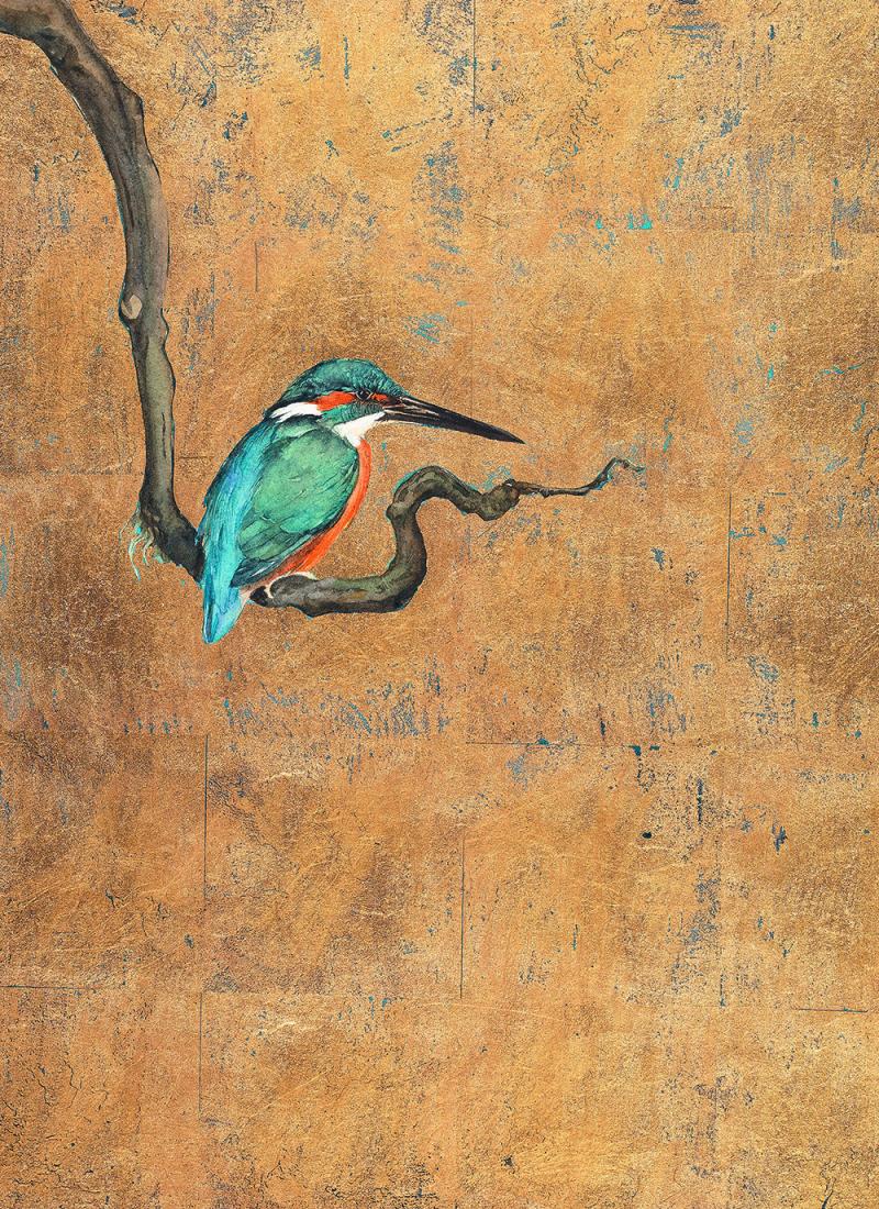 Jackie morris kingfisher 2017 jackie morris