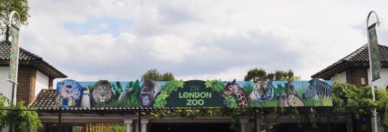 le Zoo de Londres