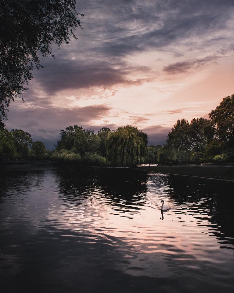 Les Parcs du centre de Londres