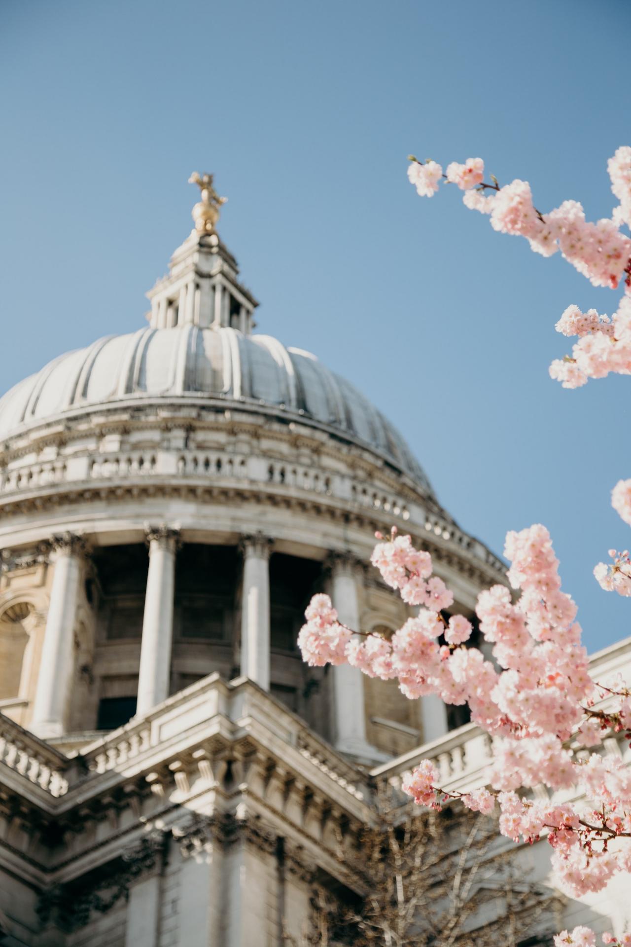 Où voir les cerisiers en fleurs à Londres ?